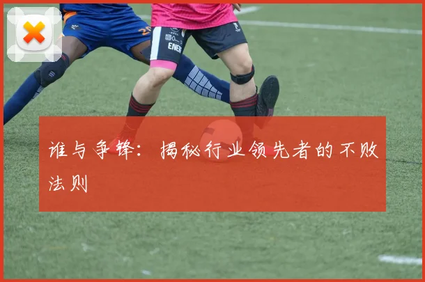 谁与争锋：揭秘行业领先者的不败法则